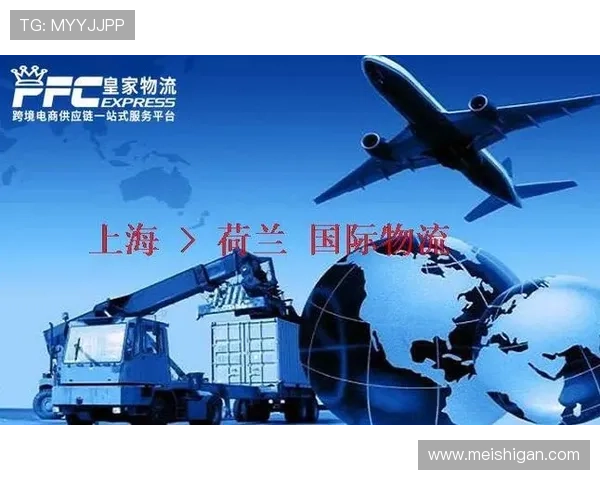 皇家在线地址使用指南：一站式解决方案为你服务