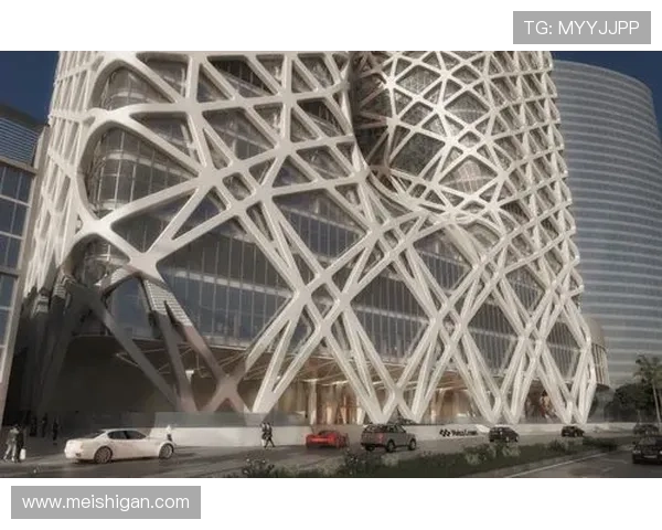 新濠博亚企查查：企业注册信息、经营范围及财务状况的详细解读